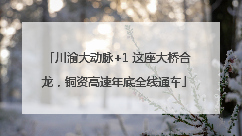 川渝大动脉+1 这座大桥合龙，铜资高速年底全线通车