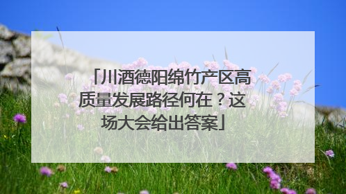 川酒德阳绵竹产区高质量发展路径何在？这场大会给出答案