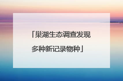 巢湖生态调查发现多种新记录物种
