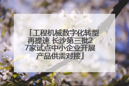 工程机械数字化转型再提速 长沙第三批27家试点中小企业开展产品供需对接