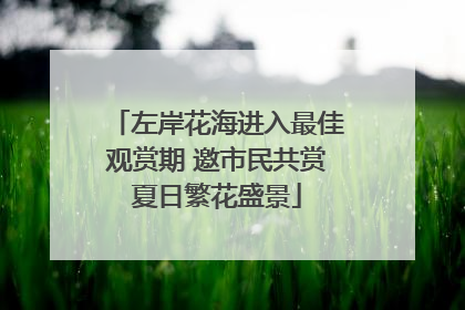 左岸花海进入最佳观赏期 邀市民共赏夏日繁花盛景