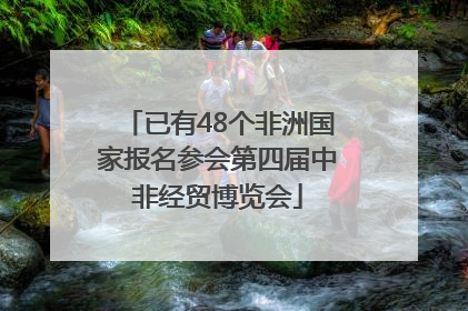 已有48个非洲国家报名参会第四届中非经贸博览会