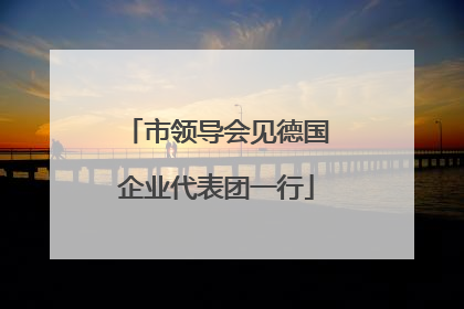 市领导会见德国企业代表团一行