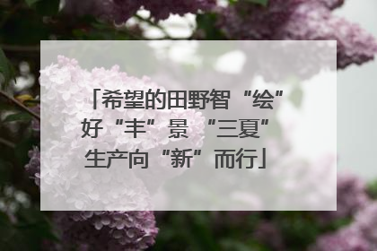 希望的田野智“绘”好“丰”景 “三夏”生产向“新”而行