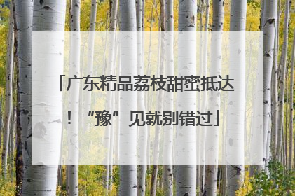 广东精品荔枝甜蜜抵达！“豫”见就别错过