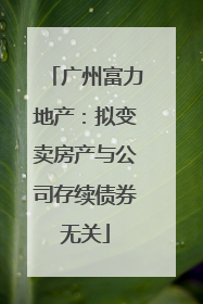 广州富力地产：拟变卖房产与公司存续债券无关