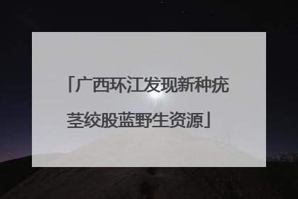 广西环江发现新种疣茎绞股蓝野生资源