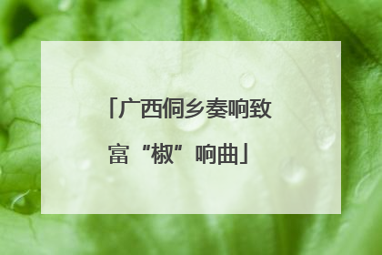 广西侗乡奏响致富“椒”响曲