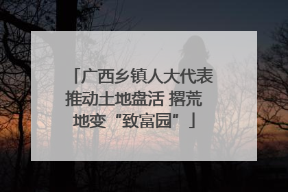 广西乡镇人大代表推动土地盘活 撂荒地变“致富园”
