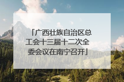 广西壮族自治区总工会十三届十二次全委会议在南宁召开