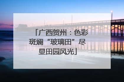 广西贺州：色彩斑斓“玻璃田”尽显田园风光