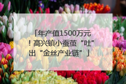 年产值1500万元！高兴镇小蚕茧“吐”出“金丝产业链”