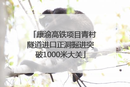 康渝高铁项目青村隧道进口正洞掘进突破1000米大关