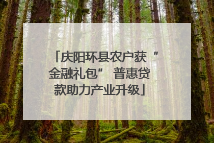 庆阳环县农户获“金融礼包” 普惠贷款助力产业升级