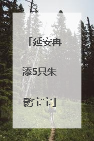 延安再添5只朱鹮宝宝