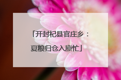 开封杞县官庄乡：夏粮归仓入廪忙