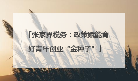 张家界税务：政策赋能育好青年创业“金种子”