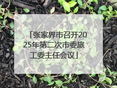 张家界市召开2025年第二次市委旅工委主任会议