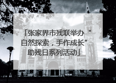张家界市残联举办“自然探索，手作成长”助残日系列活动