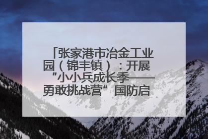 张家港市冶金工业园（锦丰镇）：开展“小小兵成长季——勇敢挑战营”国防启蒙教育活动