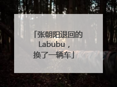 张朝阳退回的Labubu，换了一辆车