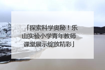 探索科学奥秘！乐山实验小学青年教师课堂展示绽放精彩