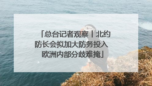 总台记者观察丨北约防长会拟加大防务投入 欧洲内部分歧难掩