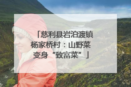 慈利县岩泊渡镇杨家桥村：山野菜变身“致富菜”