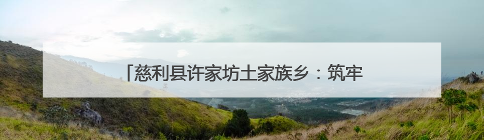 慈利县许家坊土家族乡：筑牢安全防线 一路“未”爱护航