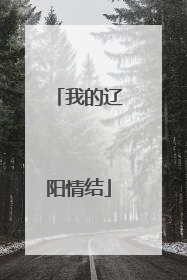 我的辽阳情结