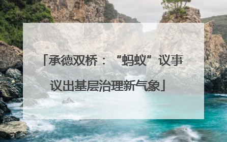 承德双桥：“蚂蚁”议事 议出基层治理新气象