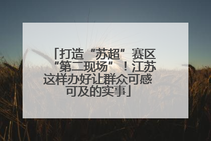 打造“苏超”赛区“第二现场”！江苏这样办好让群众可感可及的实事