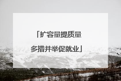 扩容量提质量 多措并举促就业