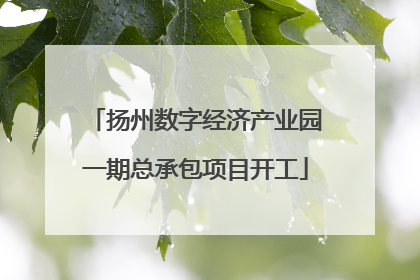 扬州数字经济产业园一期总承包项目开工