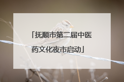 抚顺市第二届中医药文化夜市启动