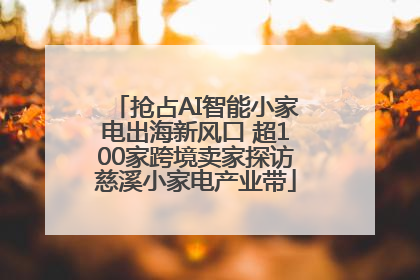 抢占AI智能小家电出海新风口 超100家跨境卖家探访慈溪小家电产业带