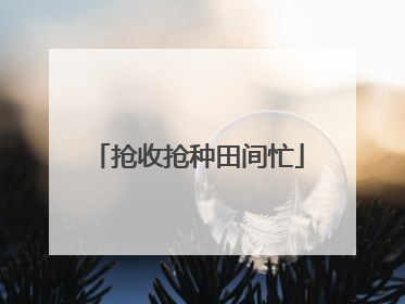 抢收抢种田间忙
