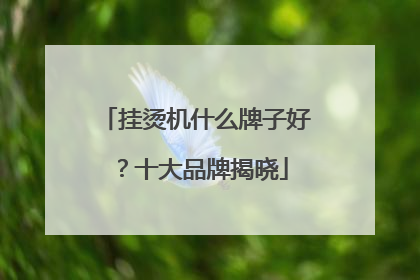 挂烫机什么牌子好？十大品牌揭晓