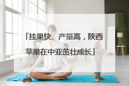挂果快、产量高，陕西苹果在中亚茁壮成长