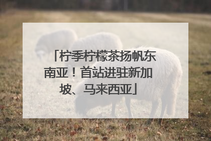 柠季柠檬茶扬帆东南亚！首站进驻新加坡、马来西亚