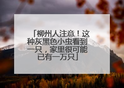 柳州人注意！这种灰黑色小虫看到一只，家里很可能已有一万只