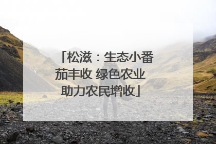 松滋：生态小番茄丰收 绿色农业助力农民增收