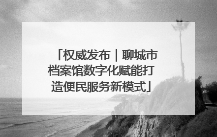 权威发布｜聊城市档案馆数字化赋能打造便民服务新模式