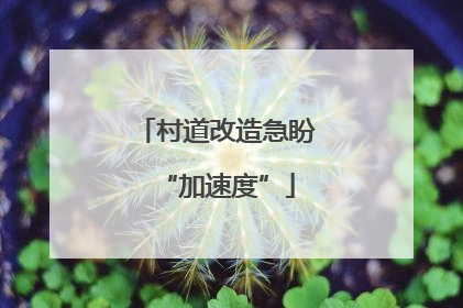 村道改造急盼“加速度”