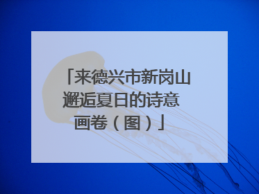 来德兴市新岗山 邂逅夏日的诗意画卷（图）