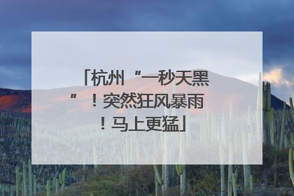 杭州“一秒天黑”！突然狂风暴雨！马上更猛
