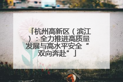 杭州高新区（滨江）：全力推进高质量发展与高水平安全“双向奔赴”