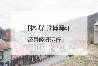 林武在淄博调研督导经济运行