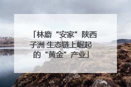 林麝“安家”陕西子洲 生态链上崛起的“黄金”产业