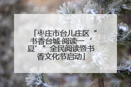 枣庄市台儿庄区“书香台城·阅读一‘夏’”全民阅读暨书香文化节启动